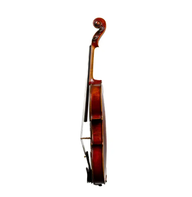  - Image 3