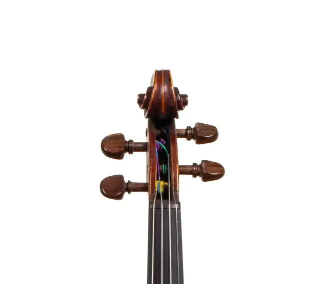  - Image 5