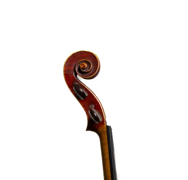  - Image 6