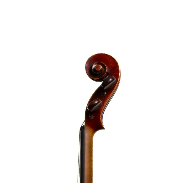  - Image 7