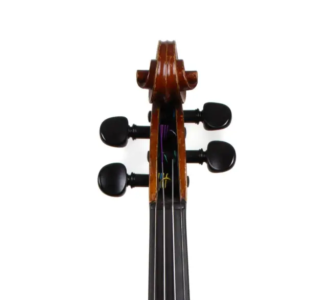  - Image 6