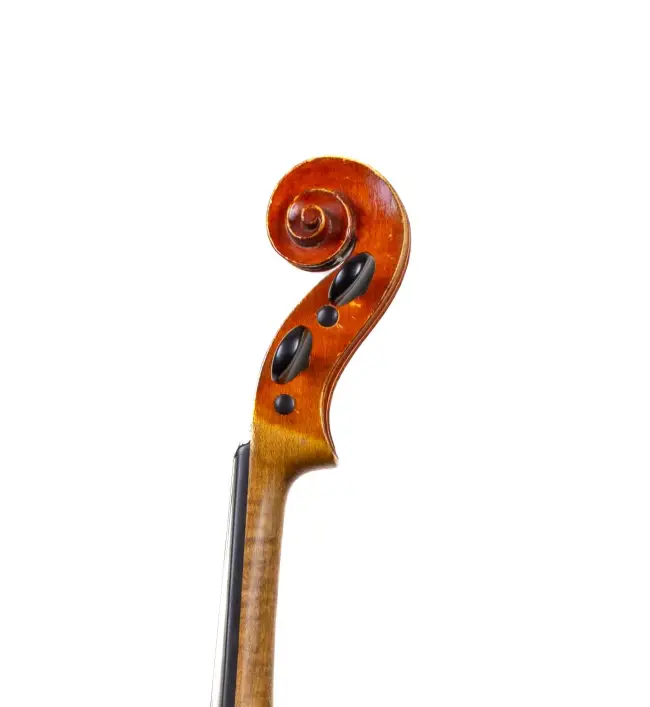  - Image 8