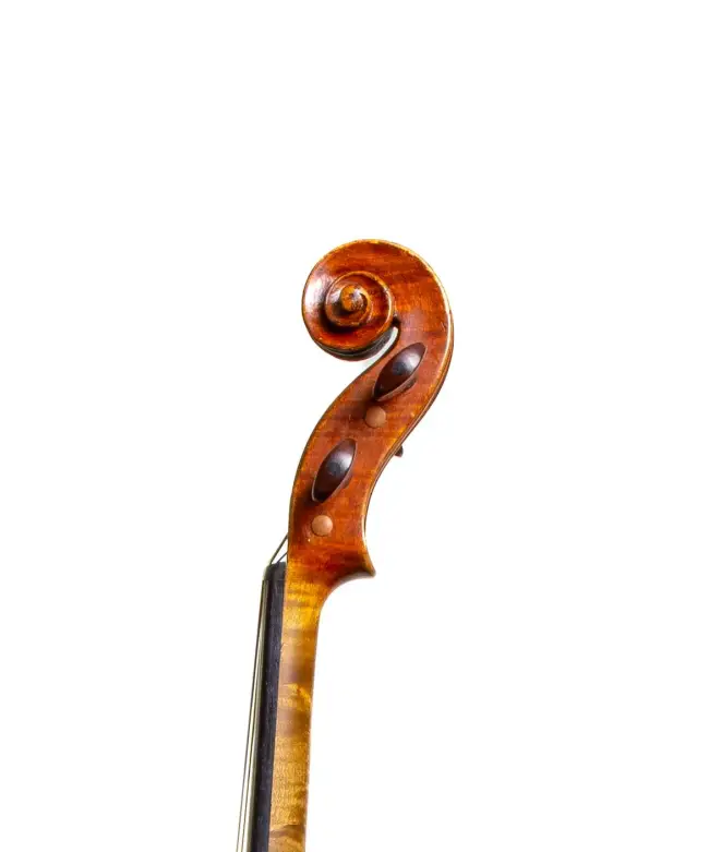  - Image 6