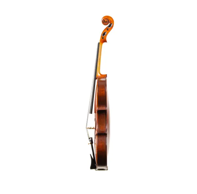  - Image 4