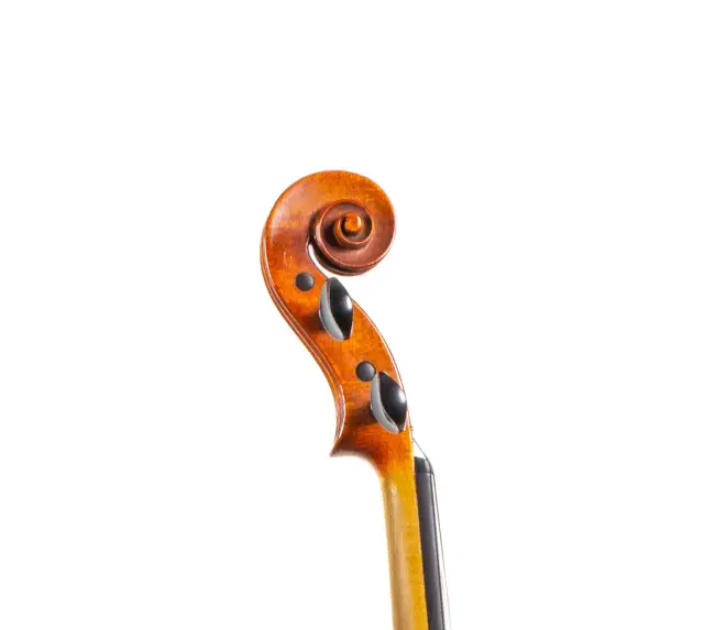  - Image 5