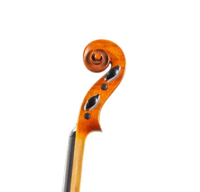  - Image 7