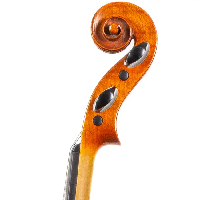  - Image 4