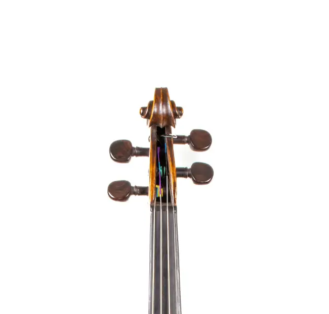  - Image 5