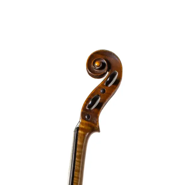  - Image 7