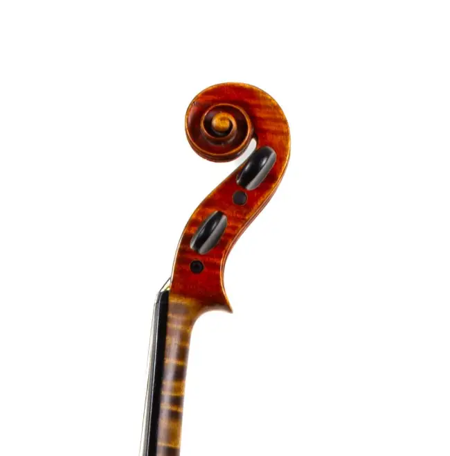  - Image 7