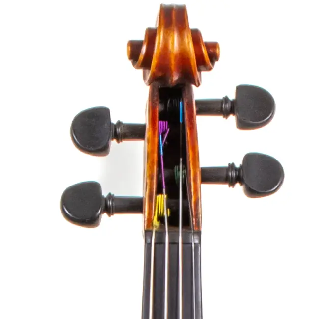  - Image 2