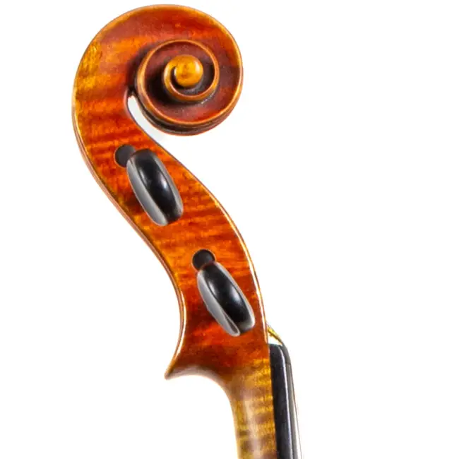  - Image 7