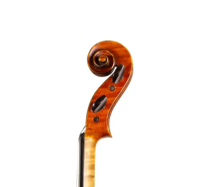  - Image 7