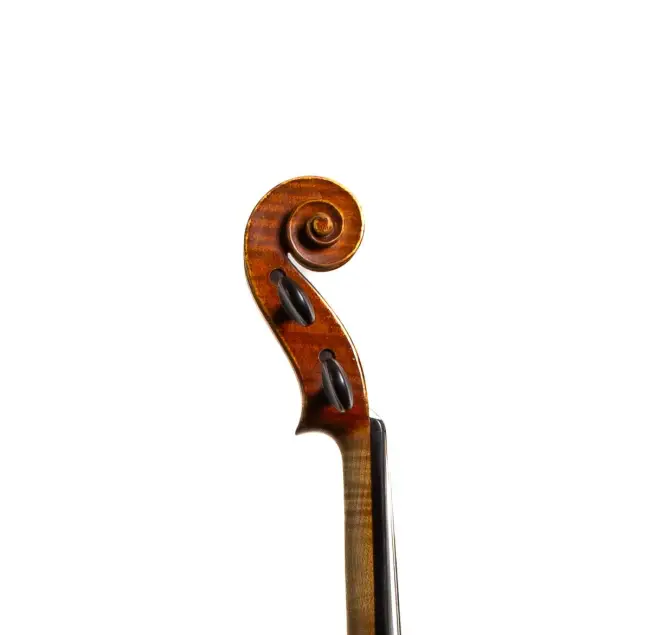  - Image 6