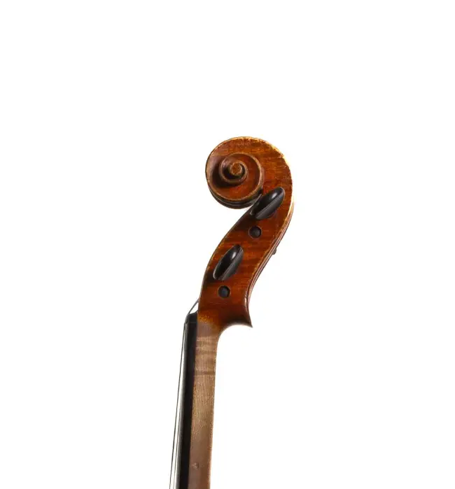  - Image 7