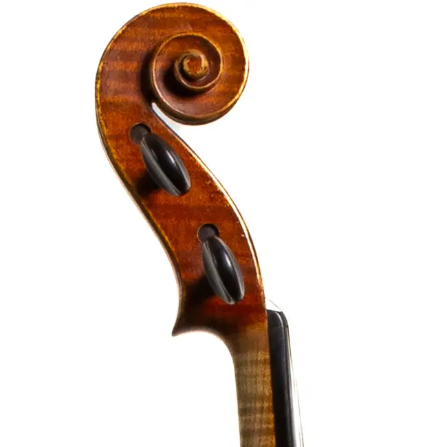  - Image 7