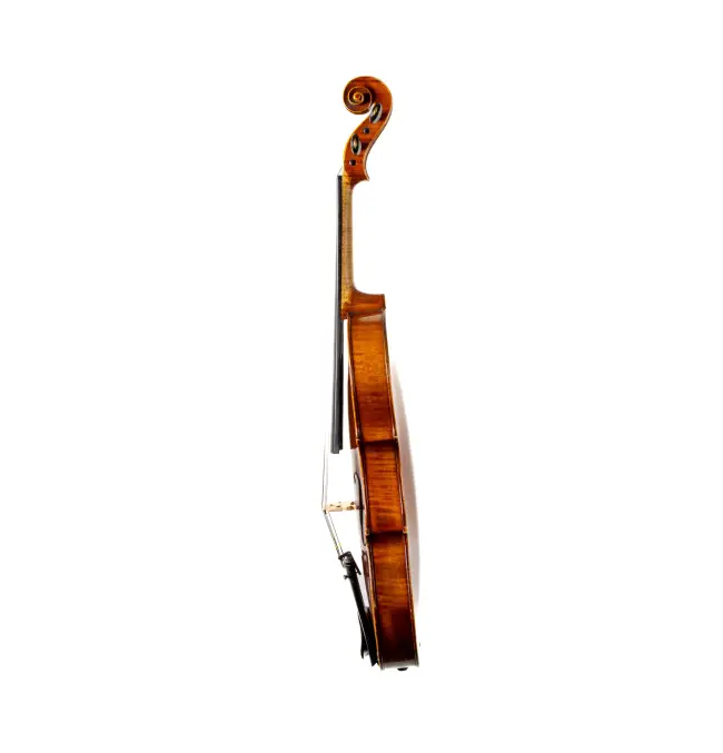  - Image 3