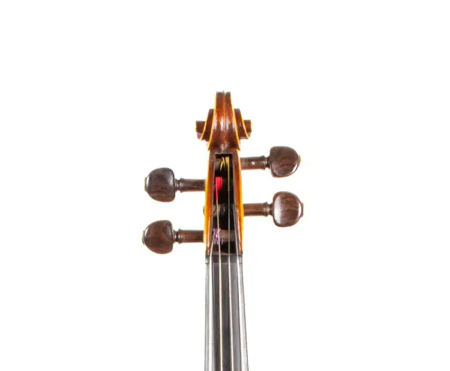  - Image 5