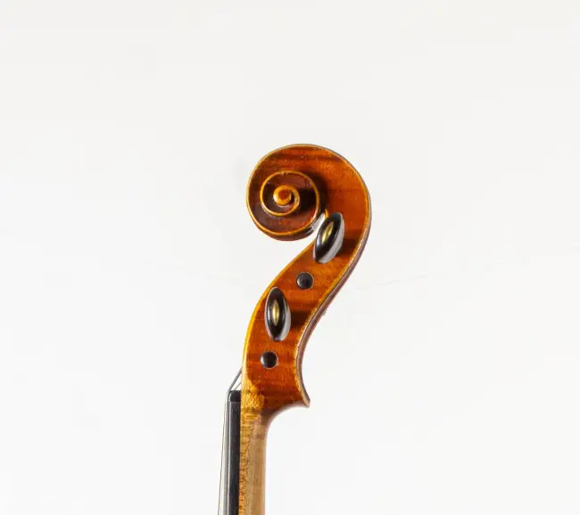  - Image 7