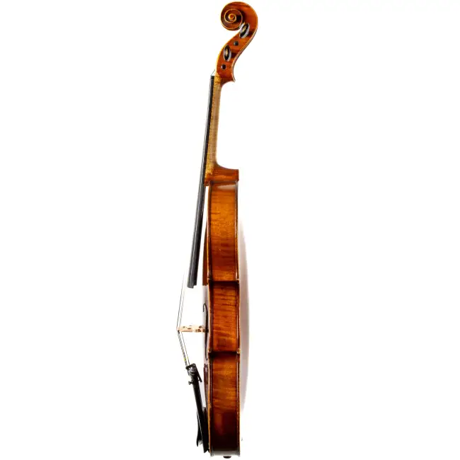  - Image 7