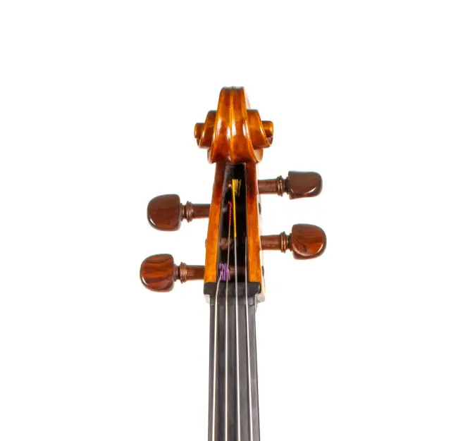  - Image 5