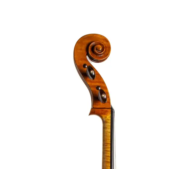  - Image 6
