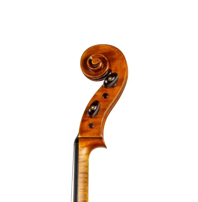  - Image 7