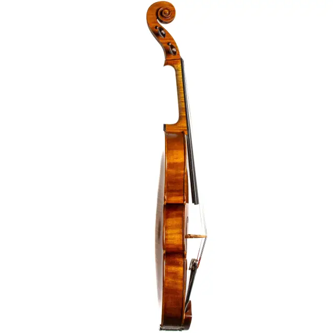  - Image 6