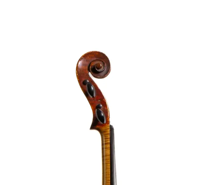 - Image 7