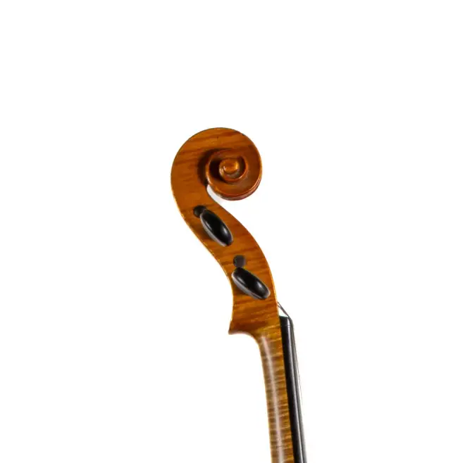  - Image 6