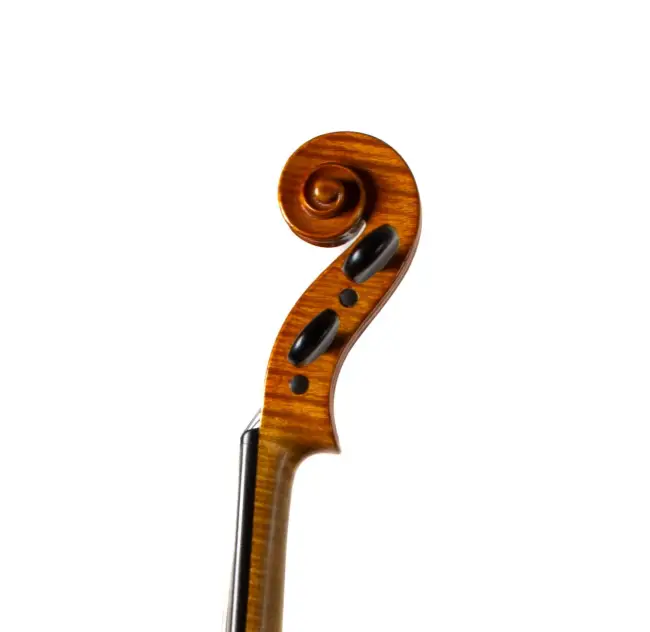  - Image 7