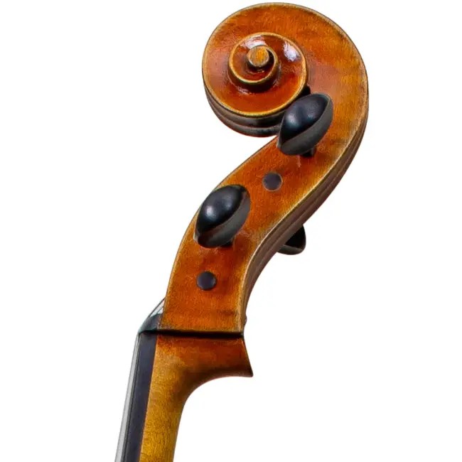  - Image 7