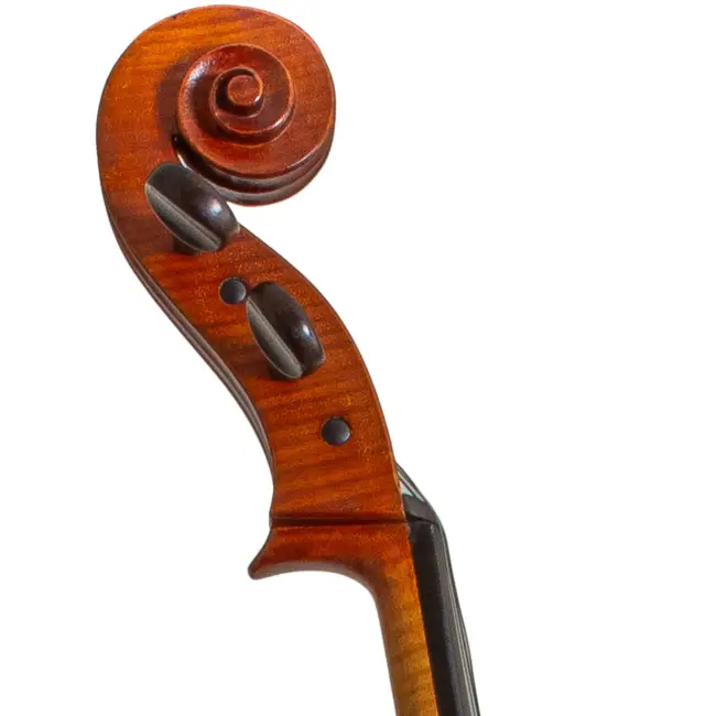  - Image 2