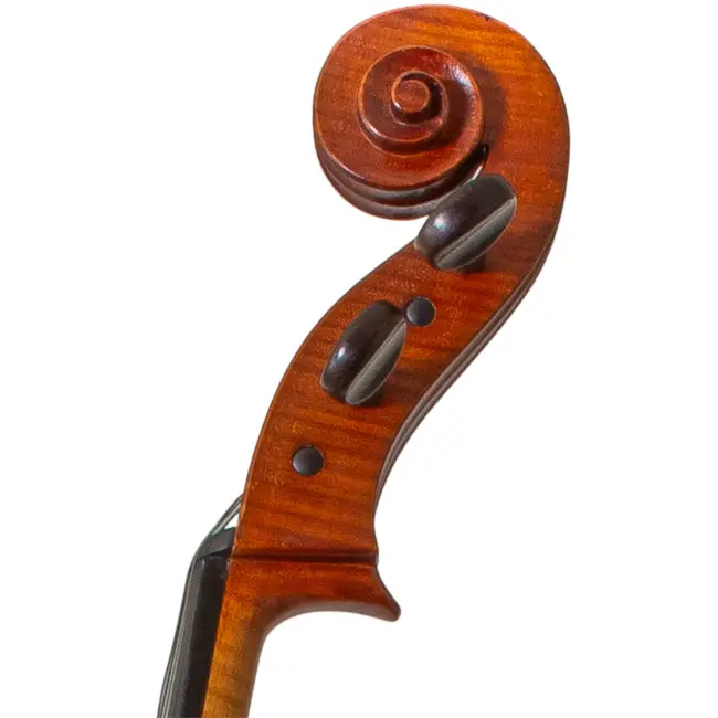  - Image 5