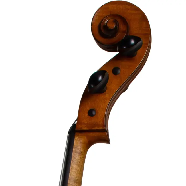  - Image 6