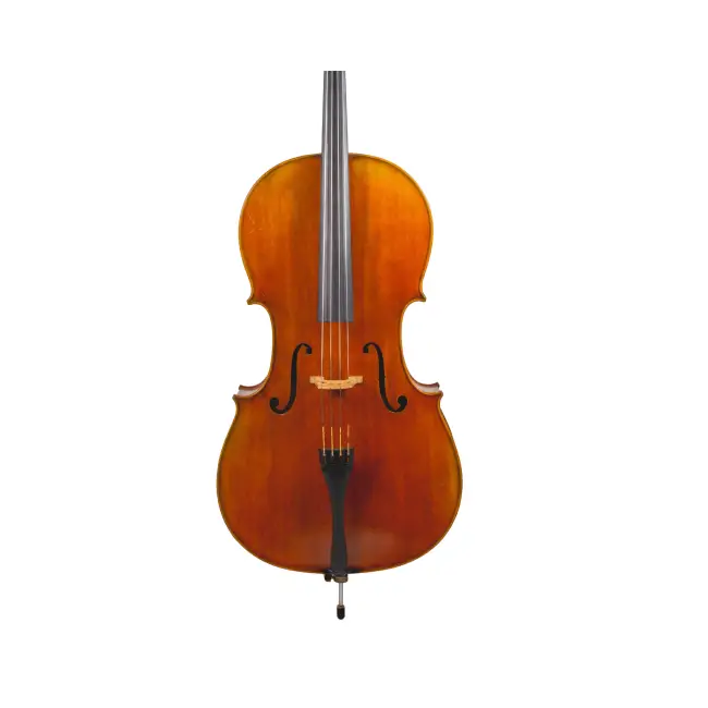  - Image 2