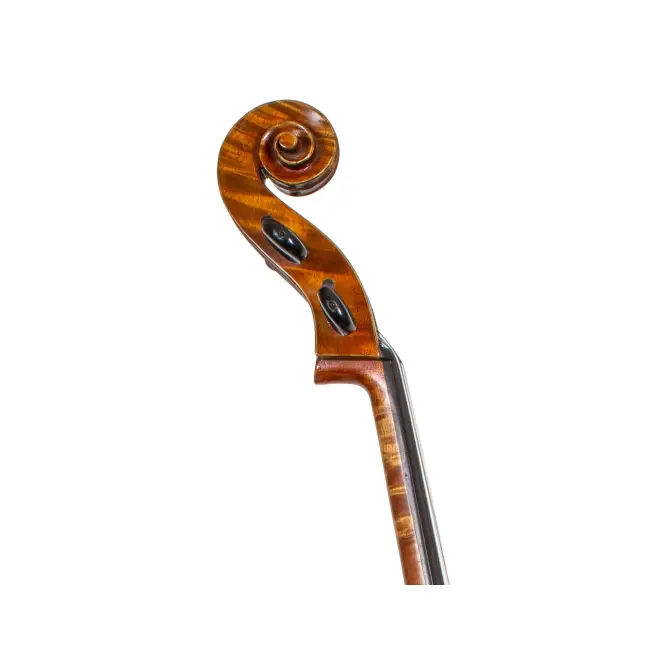  - Image 5