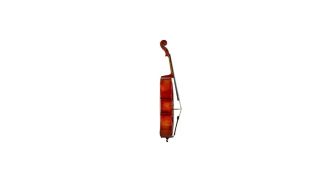  - Image 2