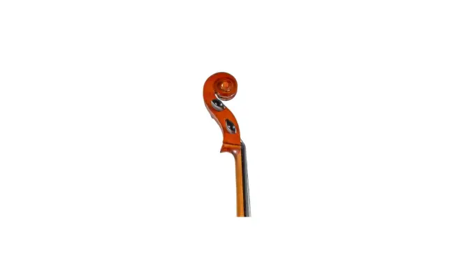  - Image 5