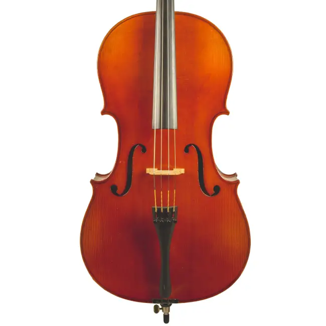  - Image 8