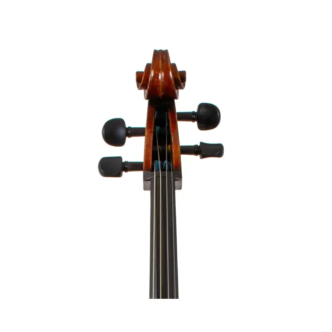  - Image 6