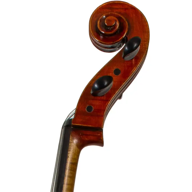  - Image 5