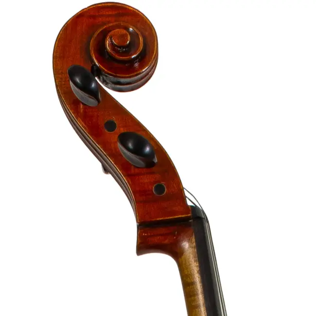  - Image 6