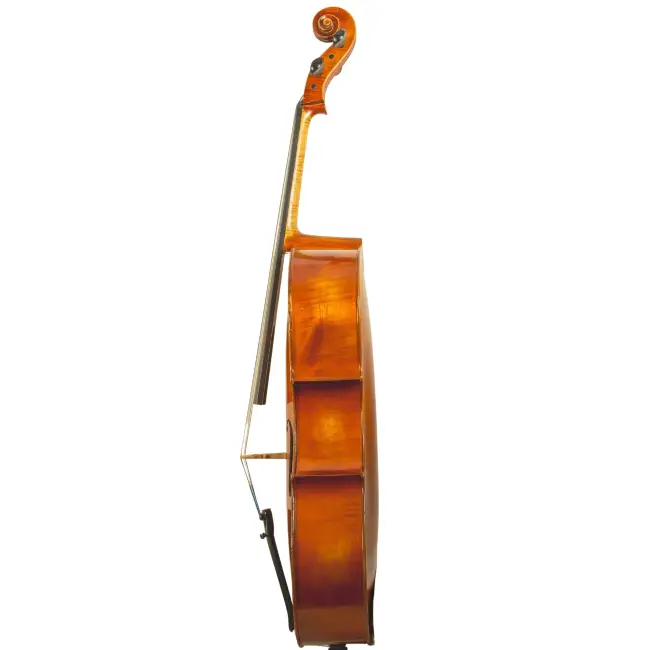  - Image 2