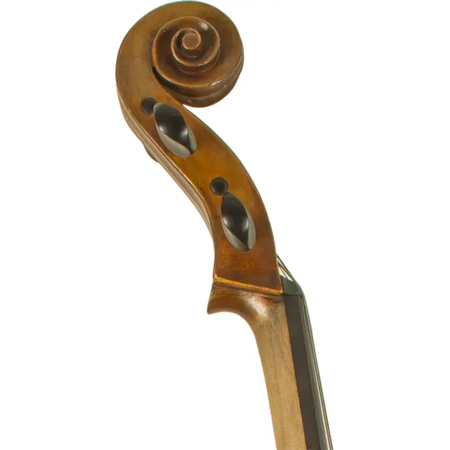  - Image 5
