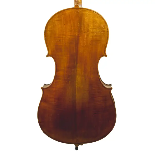  - Image 7