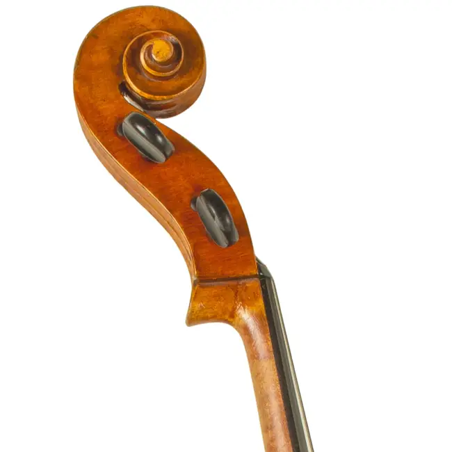  - Image 5