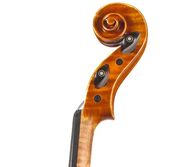  - Image 4