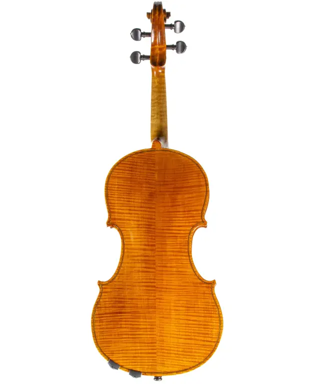  - Image 7