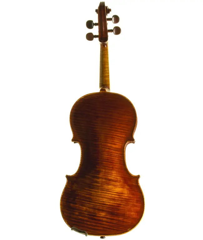 - Image 7